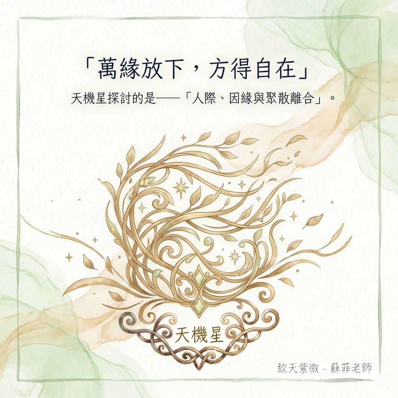 萬緣放下，方得真正的自在-天機星
